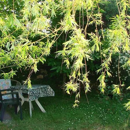 Apartment Milena Pula